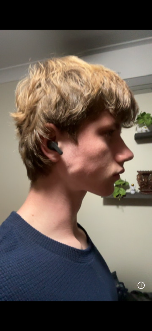 IMG_3231.PNG
