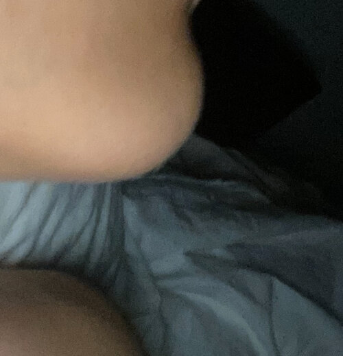 IMG 4600