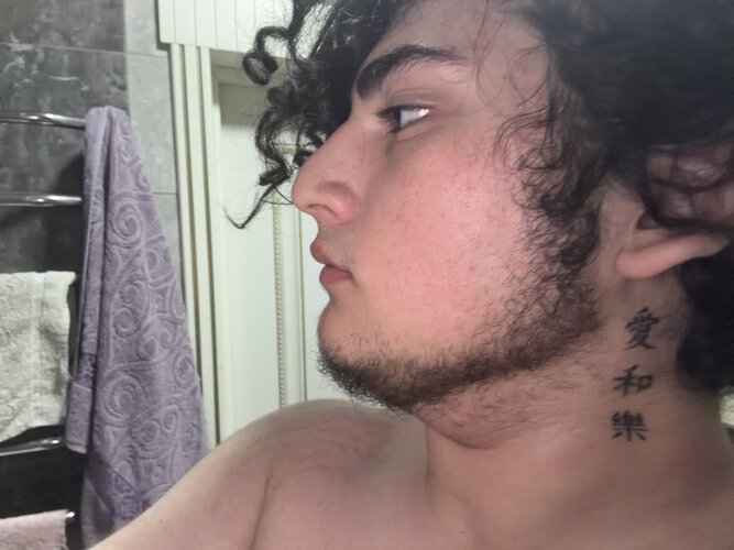 image.jpg