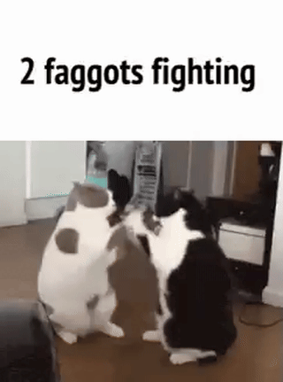 GiFShitpost_Unknown_20260312_082059-1.gif