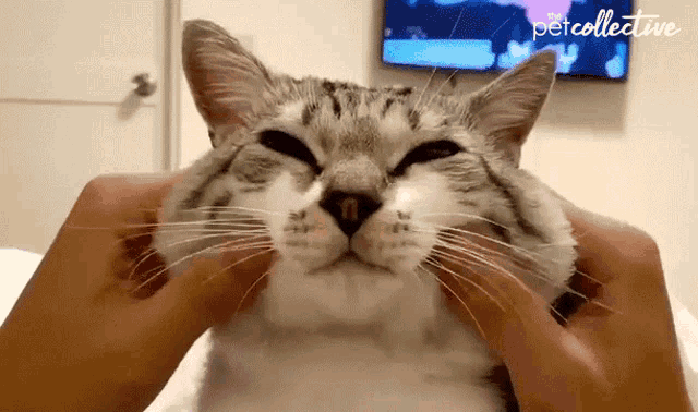 squish-pinch-cheeks.gif