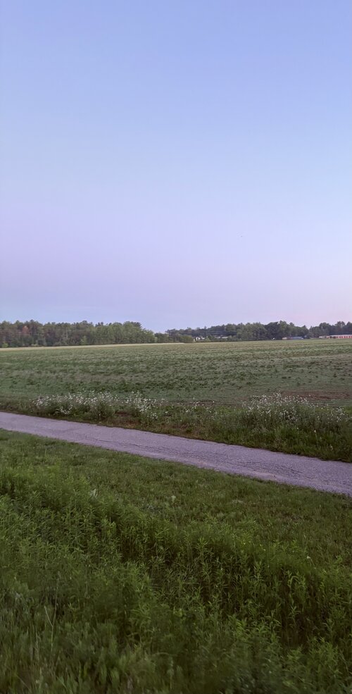 IMG 0995