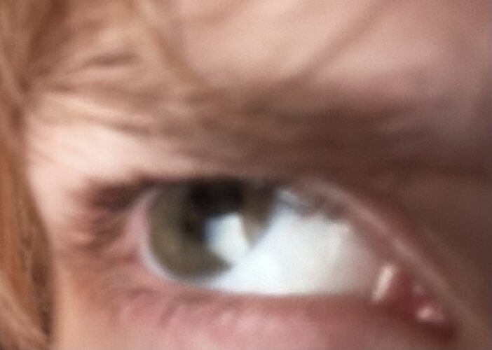 IMG_2208.jpeg