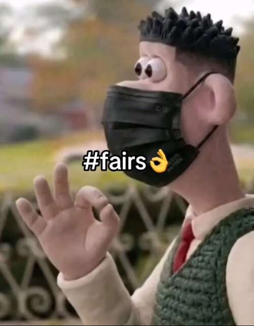 IMG_8317.jpeg