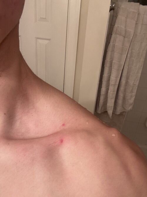 IMG_6676.jpeg