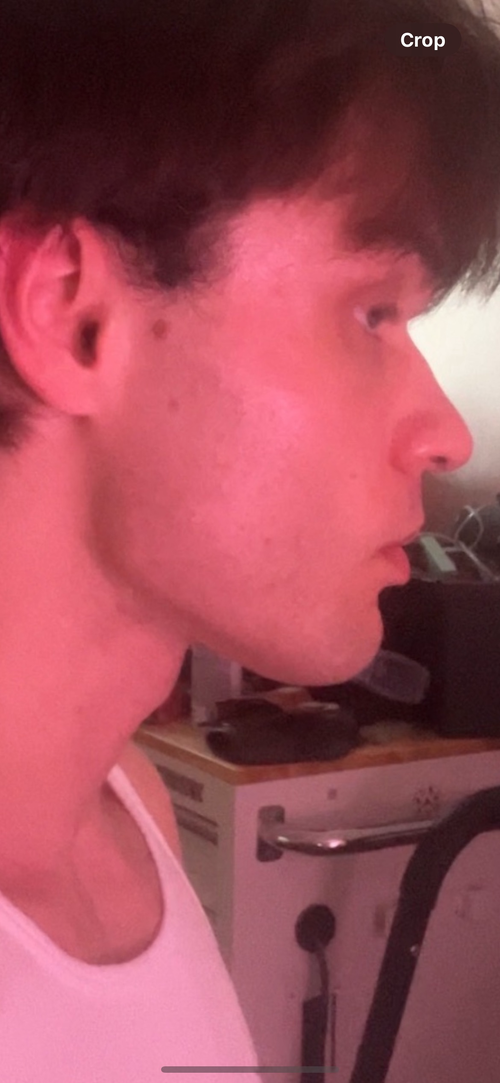 IMG_7246.png