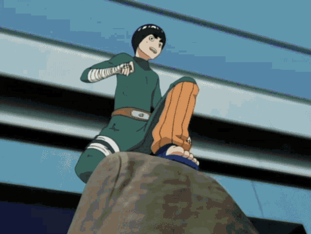 Rock lee weights