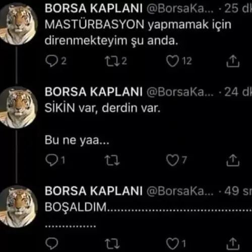 borsa-kaplani-v0-t7vwv3i2t08b1.webp