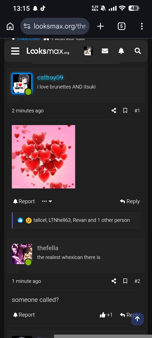 Screenshot_2026-06-18-13-15-40-251_com.android.chrome.jpg