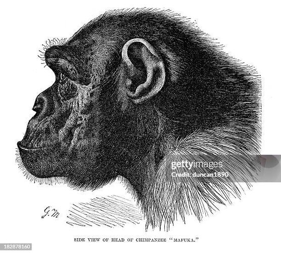 gettyimages-182878160-612x612.jpg