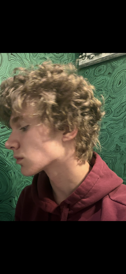 IMG_7381.png