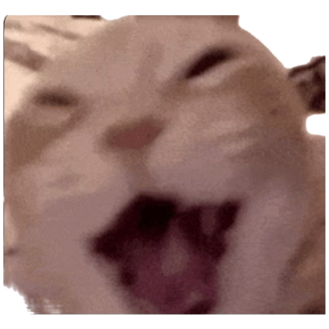 1781850585006.png
