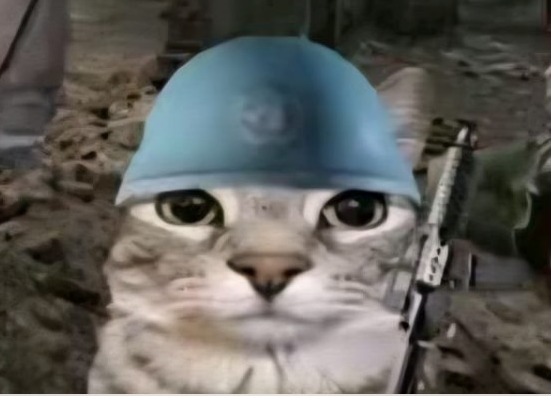 Screenshot (35).png