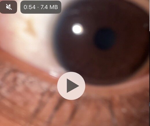 IMG_4890.jpeg