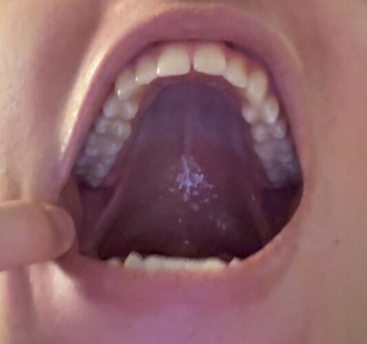 IMG_6194.jpeg