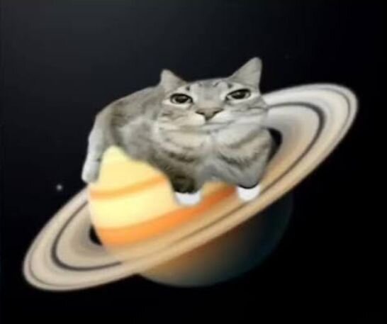 1000006666.jpg