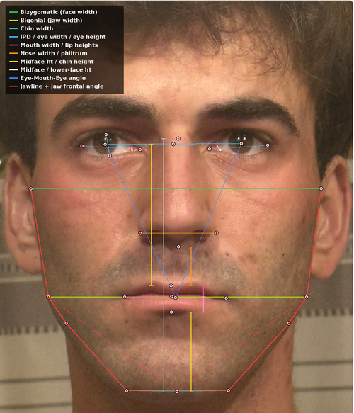 facial angles.png