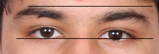 eye.PNG