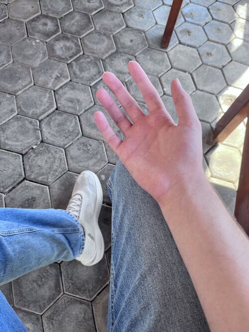 IMG_7448.jpeg