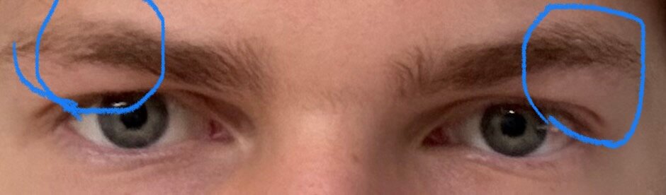 IMG_0867.jpeg