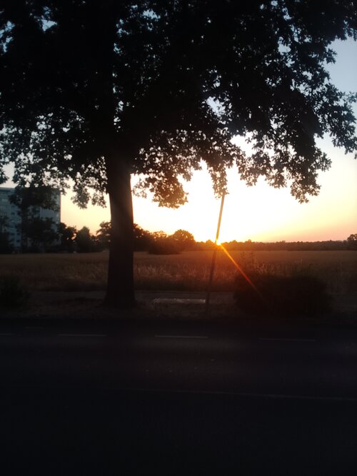 IMG 20260623 212623