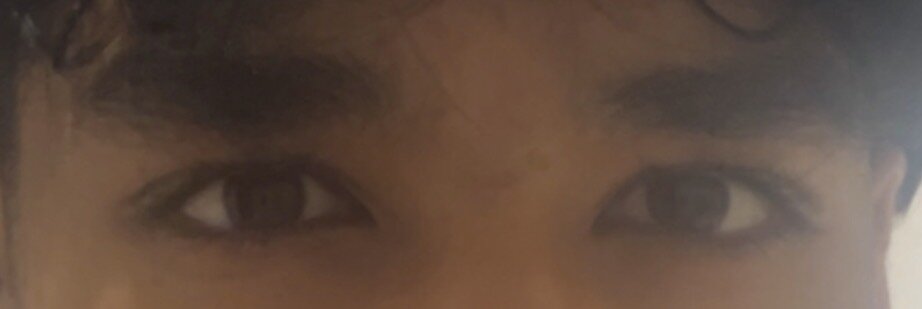 IMG_6538.jpeg