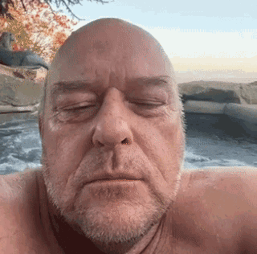 Hank breaking bad hank