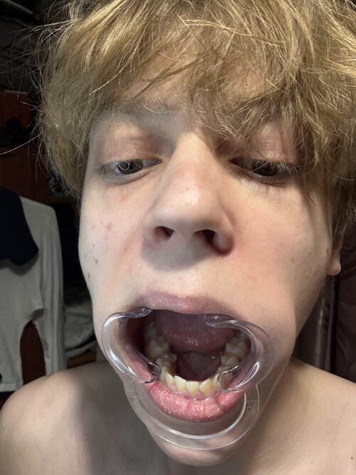 IMG_2511.jpeg