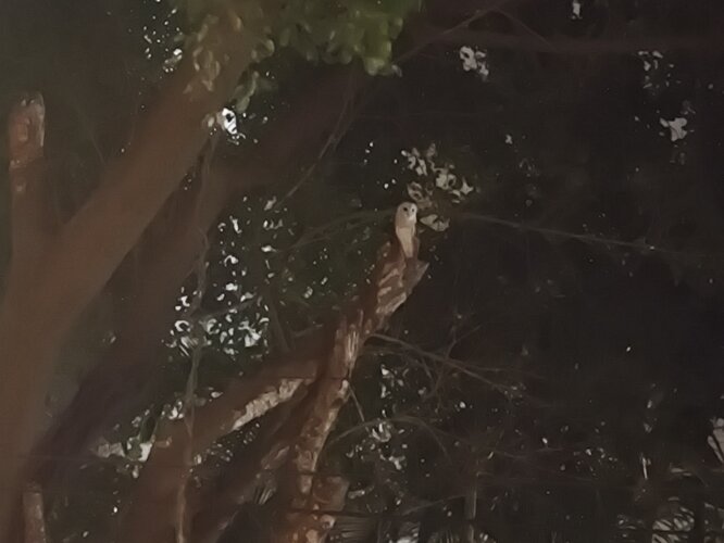 IMG 20260606 230127