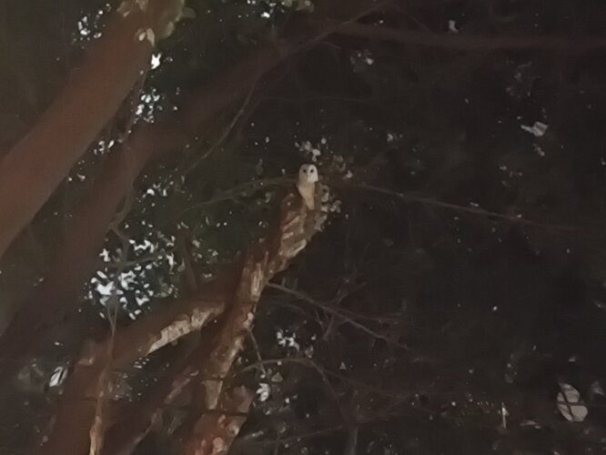 IMG 20260606 230054