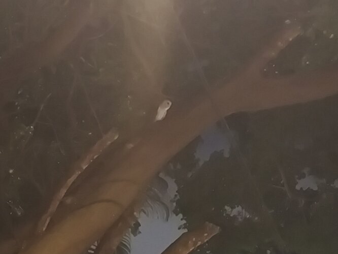 IMG 20260606 230043