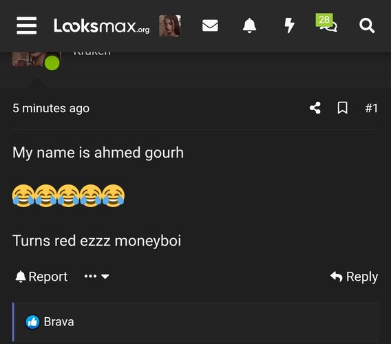 1000033261.jpg