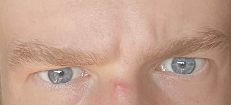 4568898_IMG_4003.jpg