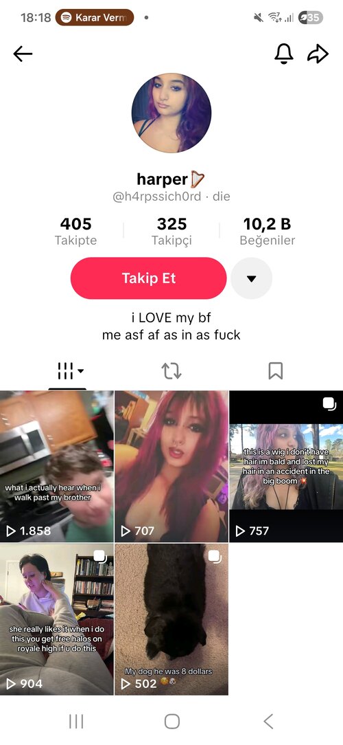 Screenshot_20260628_181817_TikTok.jpg