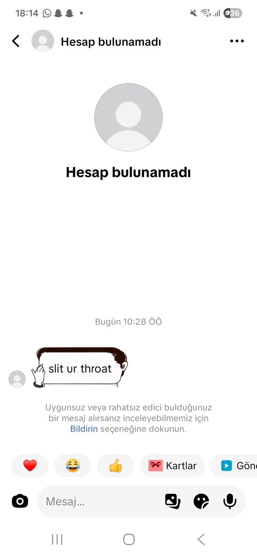 Screenshot_20260628_181422_TikTok.jpg