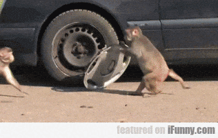Image monkey