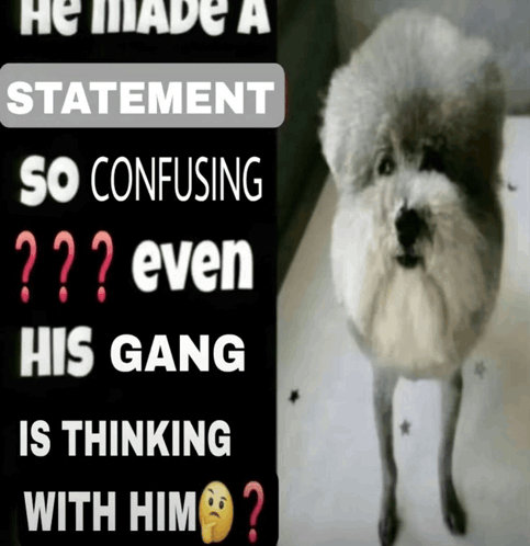 IMG_3666.gif