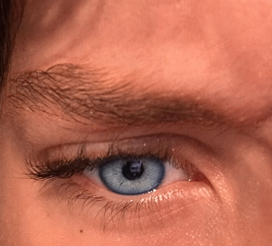 IMG_1091.png
