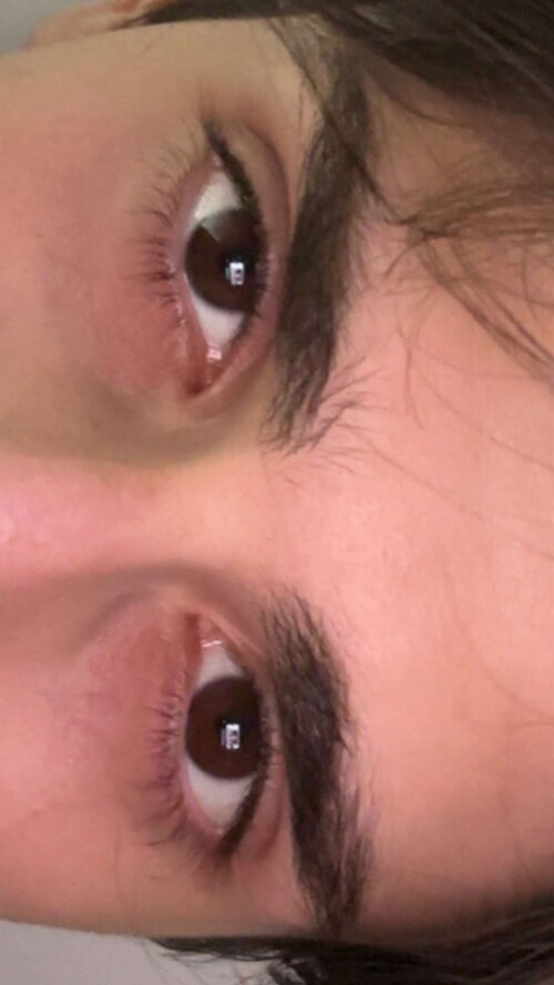 IMG_2917.jpeg