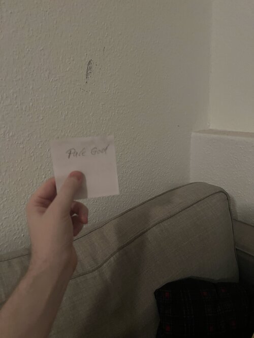 IMG_2749.jpeg