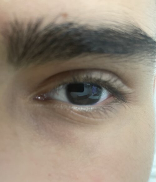 IMG_0177.jpeg