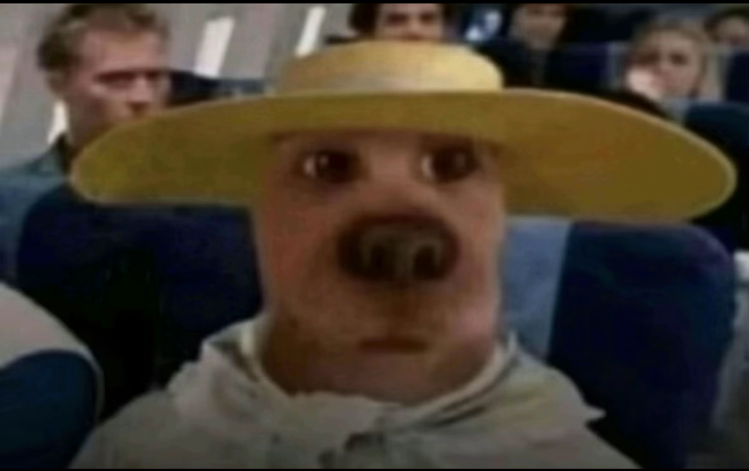 1000001966