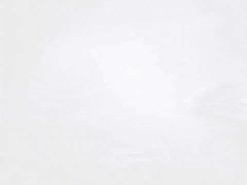 1000015252