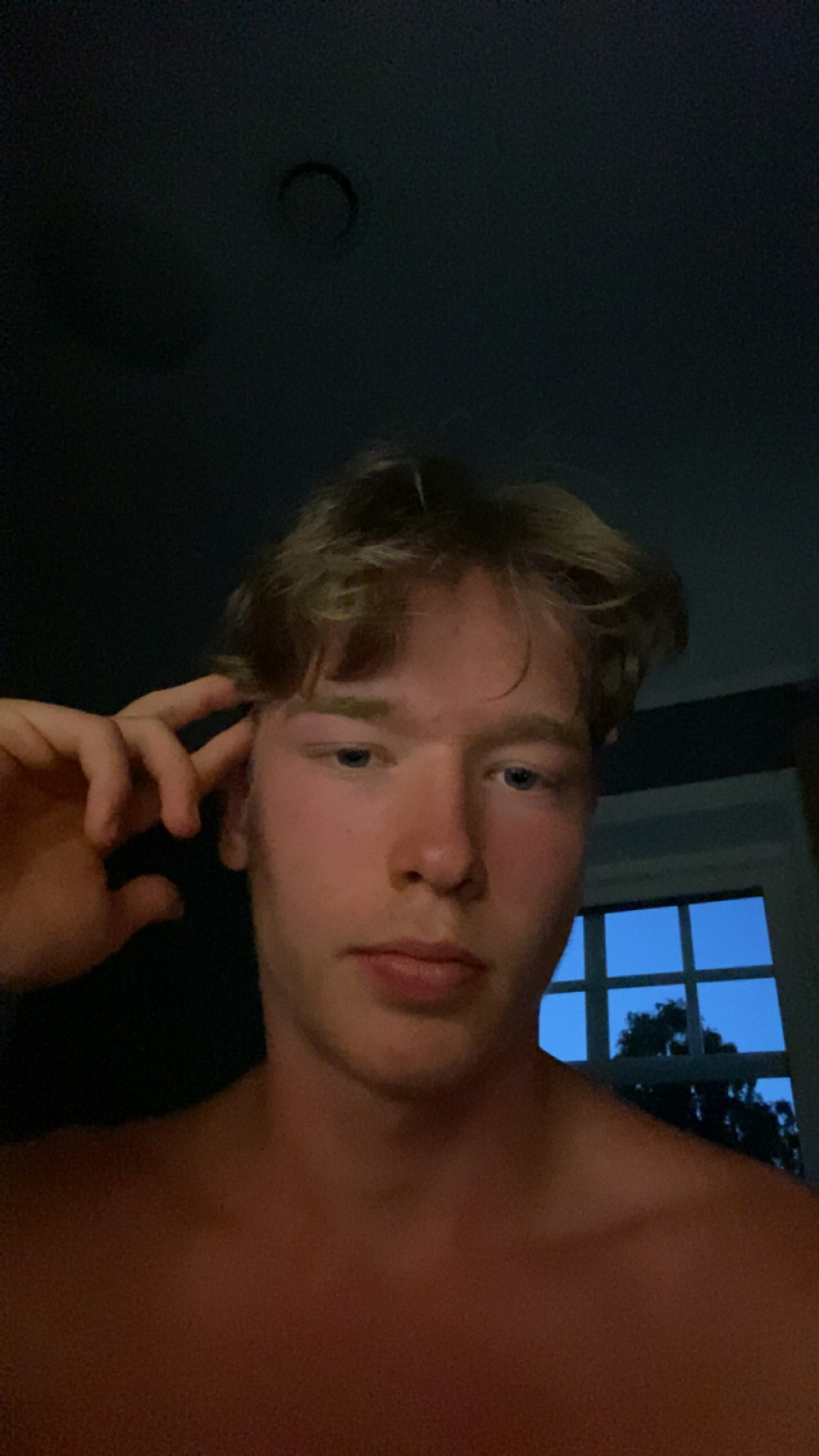 IMG 2642