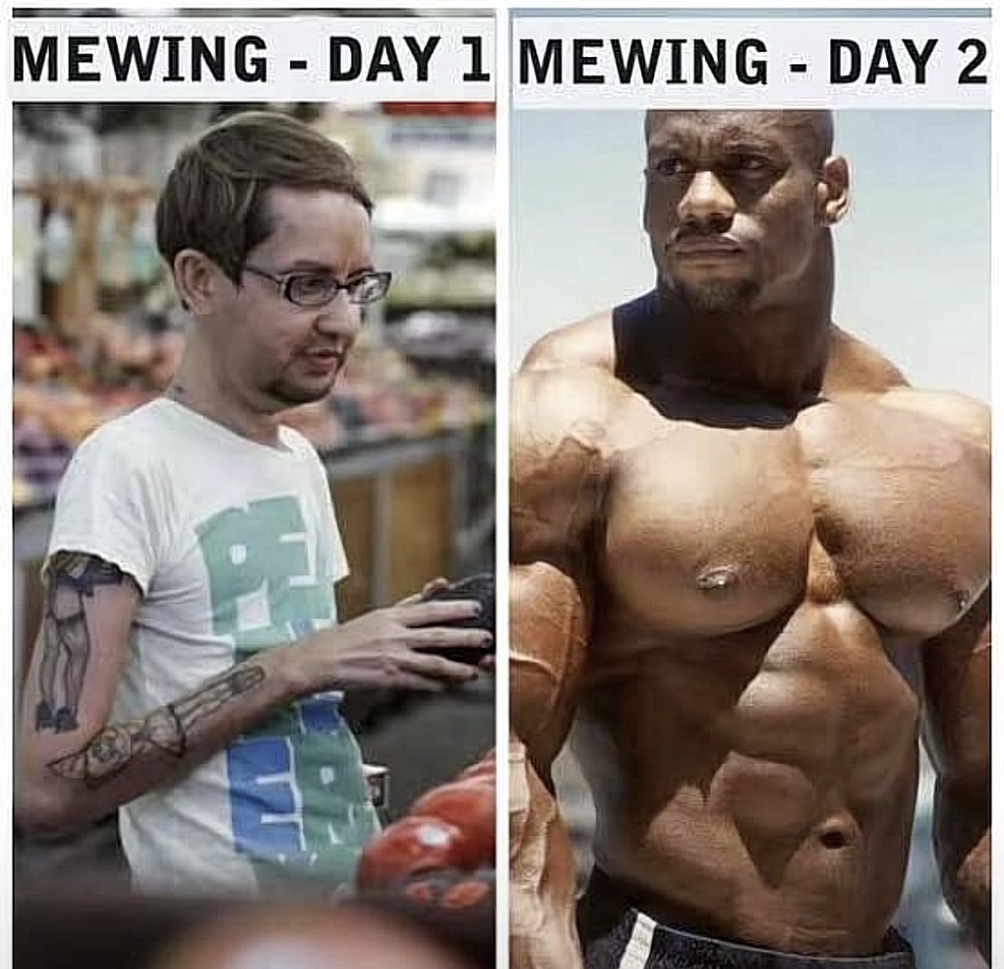 IMG 3553