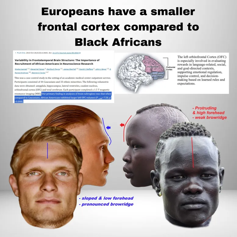 1782975069977