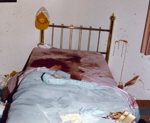 1782977558525