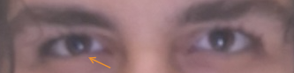 1782995493846