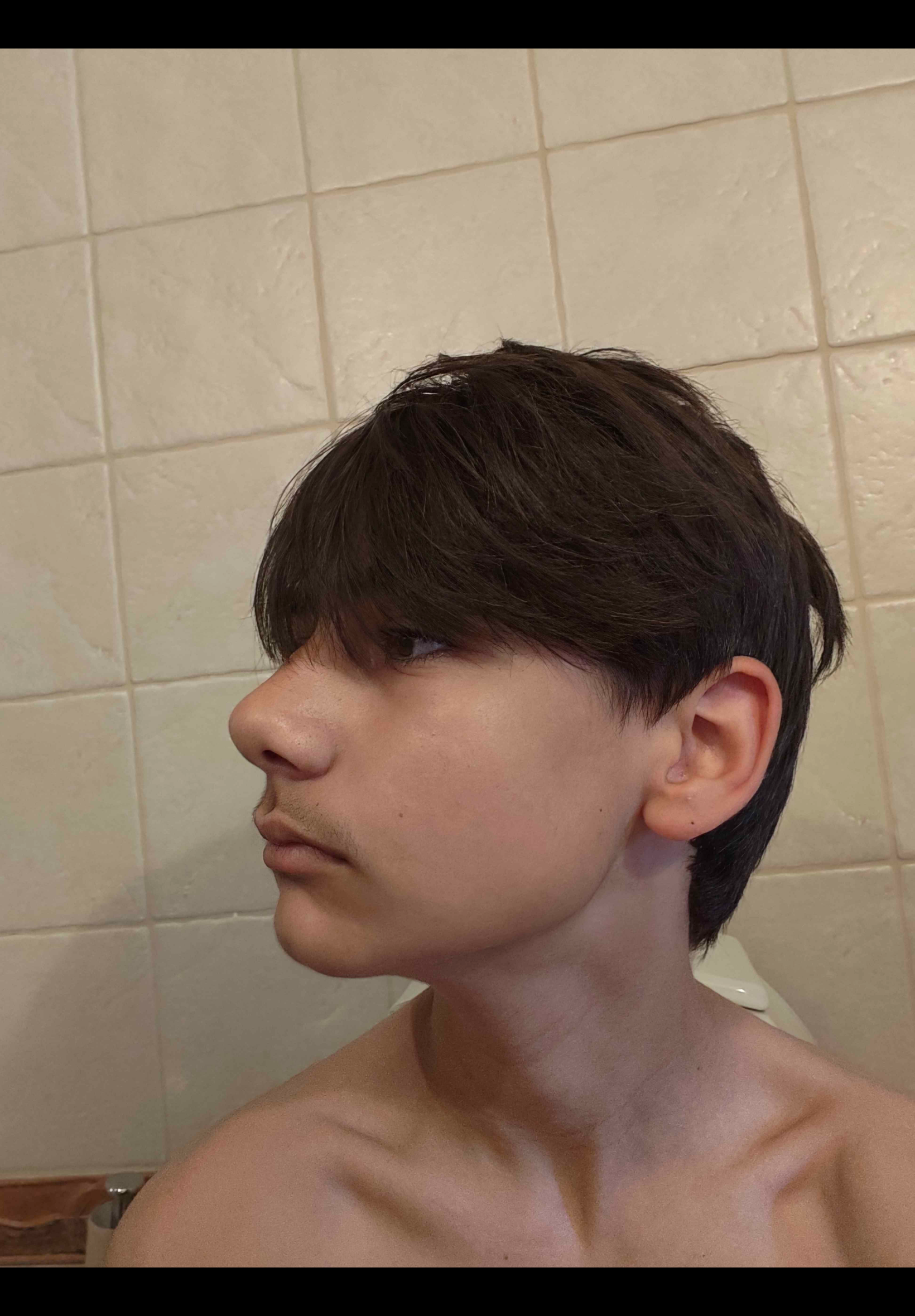 IMG 0240