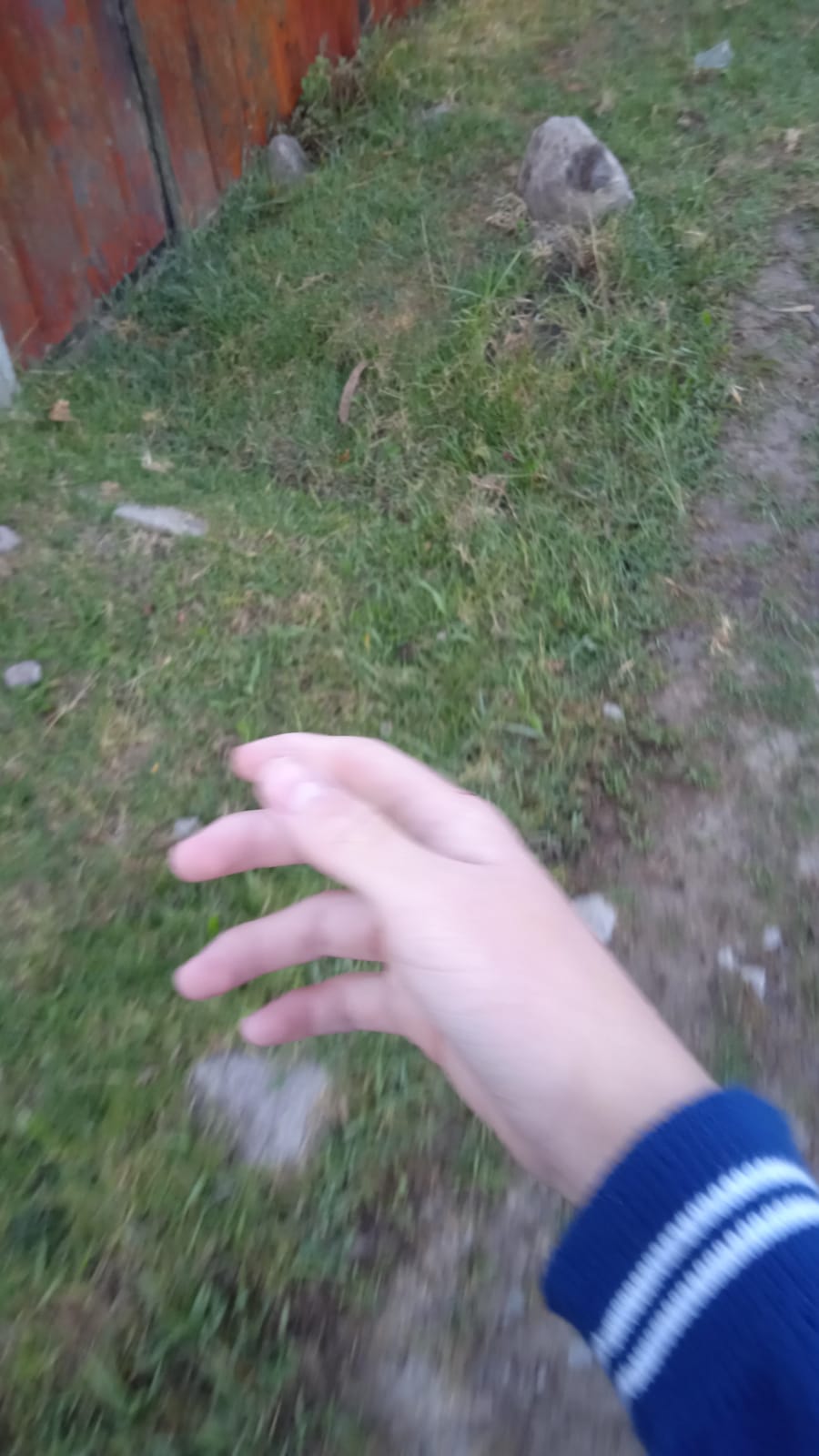 IMG 20260618 WA0003